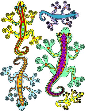 Colorful lizards