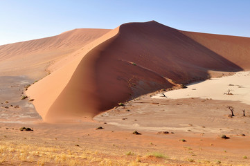 Fototapeta na wymiar Pustynia Namib w części Hiddenwlei