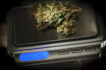 Weed on a marijuana scale © rubenkh