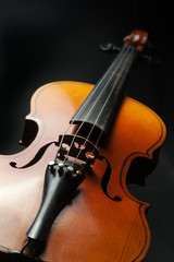 Fototapeta premium Violin against the dark background