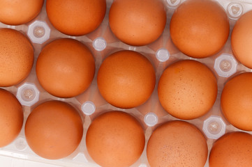 Eggs in box