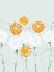 Fototapety  Ilustracja abstrakcyjnych kwiatów, mniszek i ziół herb