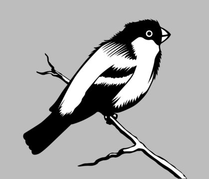 recommend clip art: bird silhouette on gray background