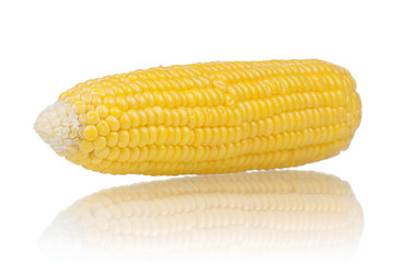 Fresh corn
