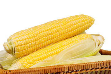 Fresh corn
