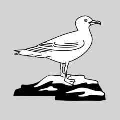 sea gull silhouette on gray background