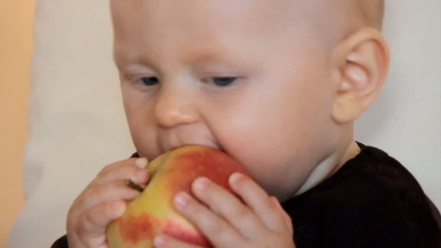 6 months boy eats apple
