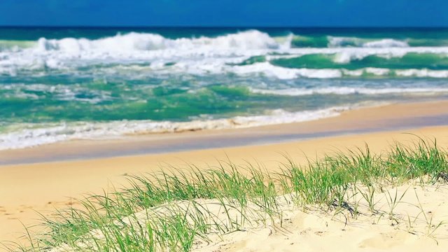 Grass and sandy beach on sunny day on Sunshine Coast