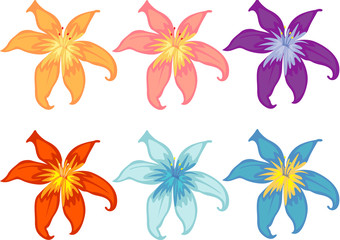 Fototapeta na wymiar Flowers of different colours