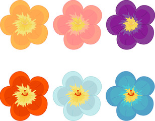 Flowers of different colours