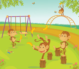 Obraz na płótnie Canvas Monkeys