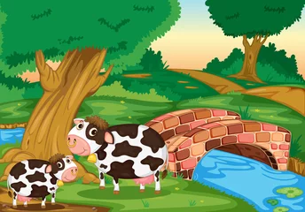 Outdoor-Kissen zwei Kühe © GraphicsRF