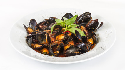 close up on mussels on white background