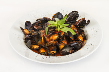 close up on mussels on white background