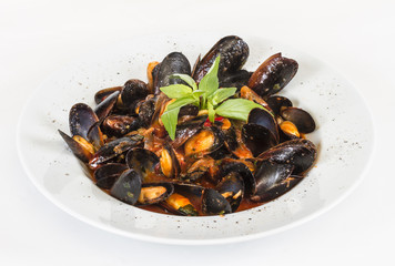 close up on mussels on white background