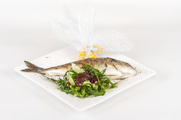 Dorada fish with salad on the white plate. Studio shot