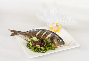 Dorada fish with salad on the white plate. Studio shot