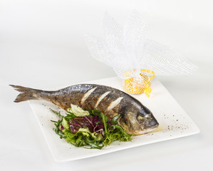 Dorada fish with salad on the white plate. Studio shot
