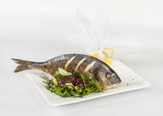 Dorada fish with salad on the white plate. Studio shot