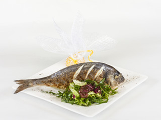 Dorada fish with salad on the white plate. Studio shot