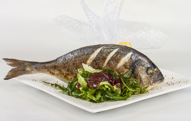 Dorada fish with salad on the white plate. Studio shot