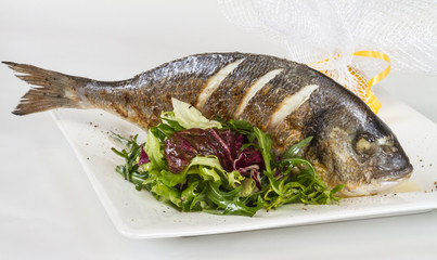 Dorada fish with salad on the white plate. Studio shot