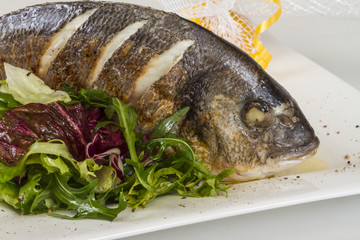Dorada fish with salad on the white plate. Studio shot