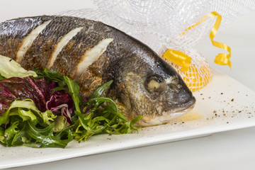 Dorada fish with salad on the white plate. Studio shot