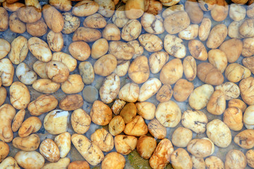 Stone next to the pool