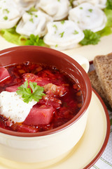 Russian cuisine. Borscht and pelmeni