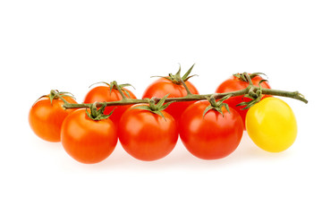 tomatoes cherry red
