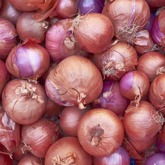 onions, food background