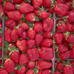 fresh juicy strawberries, food background