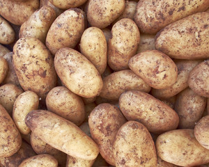raw potatoes, food background