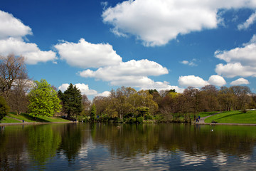 Scenic park lake in spring