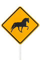 Be aware of horse on white blackground