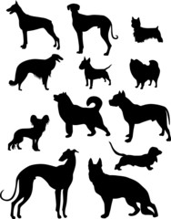 dog set