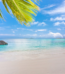 plage de sable blanc des Seychelles