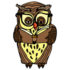 brown owl reading