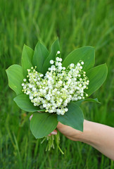 Lily of the valley (convallaria majalis) bouquet in hand