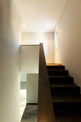 beautiful modern house, black staircase