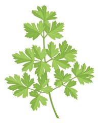 Parsley