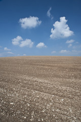 plowed soil