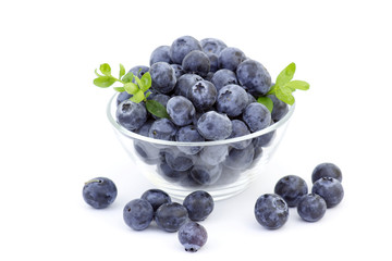 fresh blueberries in a bowl