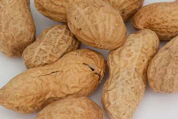 monkey nuts close-up