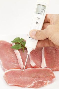 Food Thermometer