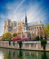 Fototapeta na wymiar Notre Dame de Paris - Francja