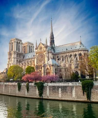 Tuinposter Notre Dame de Paris - Frankrijk © Production Perig