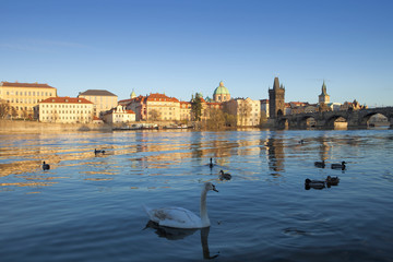 Fototapeta premium prague charles bridge