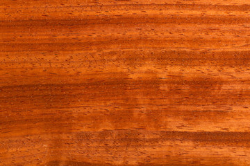 Red walnut wood